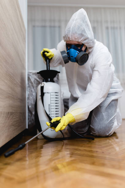 Best Fumigation Services  in Raymond, WI